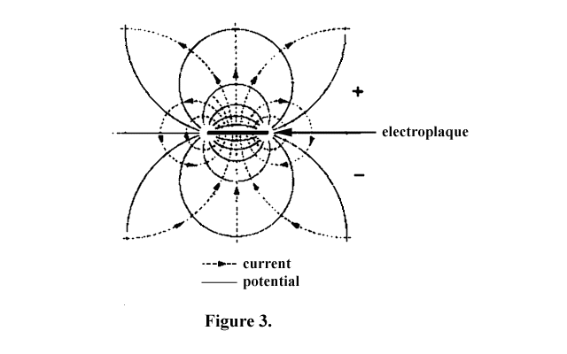 Electuoplaques Electuoplaques